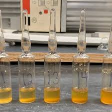 Attēlu rezultāti vaicājumam “Orthotrichum lyellii”