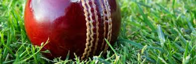 Image result for Swyncombe Cricket Club