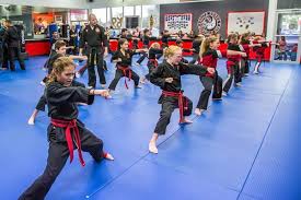 Image result for Elite Force Martial Arts