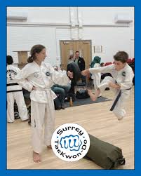 Image result for Surrey Taekwondo