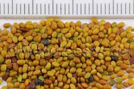 Attēlu rezultāti vaicājumam “Medicago lupulina fruit”