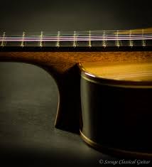 Image result for selvatici tehron