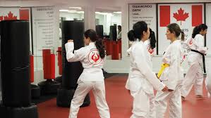Image result for York University Taekwondo Club