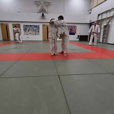 Image result for Carn Brea Karate Kai