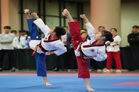 Image result for Taekwondo Athletes Program USA