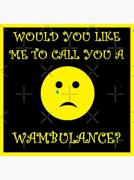 Image result for buaaambulancia