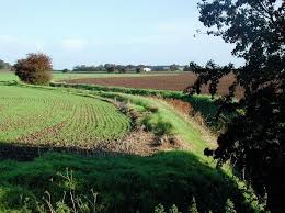 Image result for Patrington Cc