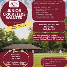 Image result for Chiddingly Cricket Club