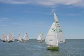 Image result for Laleham Sailing Club