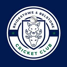 Image result for Whitchurch Wayfarers Cricket Club