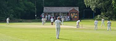 Image result for Hyde Cricket Club
