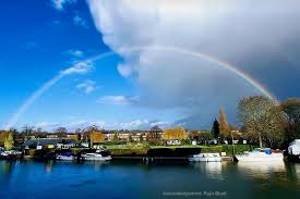 Image result for Island Bohemian Bowls Club