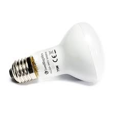 Risultati immagini per arcadia basking solar flood