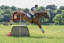 Image result for East Flegg Riding Club