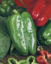 Afbeeldingsresultaat voor yolo wonder sweet pepper