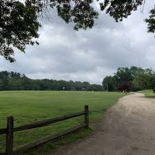 Image result for Exeter Taido Club