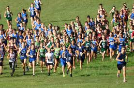 Image result for Wee County Harriers