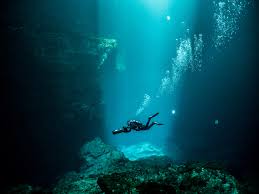 Image result for Guildford British Sub Aqua Club