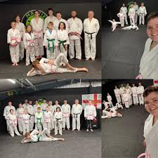 Image result for Komaru Ryu Small Circle Jujitsu/Karate