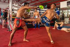 Image result for Muay Thai Clubs