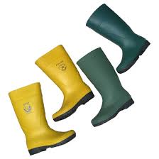 Image result for Gumboots