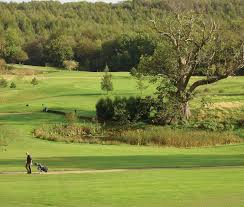 Image result for Chiddingfold Golf Club