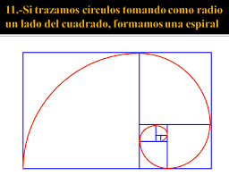 Image result for numero aureo