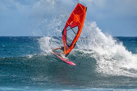 Image result for Aloha Sailboards