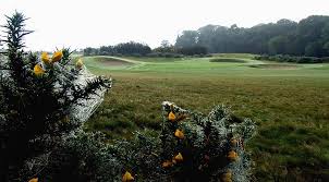 Image result for Carlow Golf Club