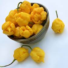 Afbeeldingsresultaat voor yellow fratali hot pepper