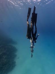 Image result for Crystal Freedivers (London)