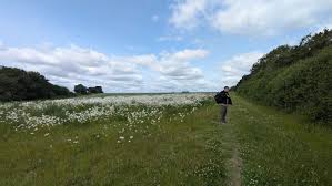 Image result for Cambridge Rambling Club