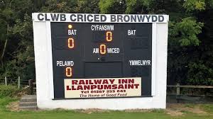 Image result for Bronwydd Cricket Club