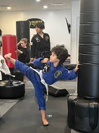 Image result for Quest Martial Arts Academy