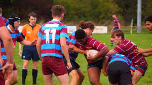 Image result for Crawley Rugby Club