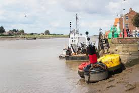 Image result for Kings Lynn RHC