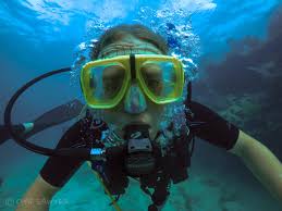 Image result for Looe Diving Club