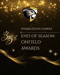 Image result for Wimbledon Hawks