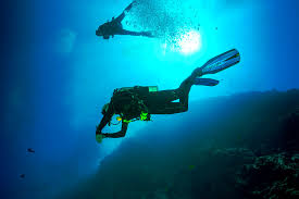 Image result for Droylsden Sub Aqua Club