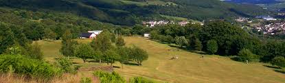 Image result for Mountain Ash Golf Club