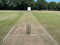 Image result for Saltwood Cricket Club