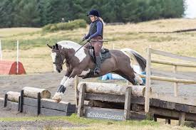 Image result for Scottish Equi Complex