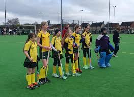 Image result for Norwich Dragons Hockey Club