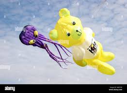 Image result for Brighton Kite Fliers