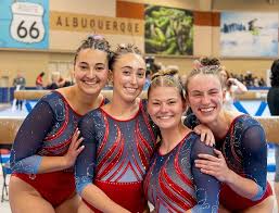 Image result for Biddick Sports College Community Gymnastics Club