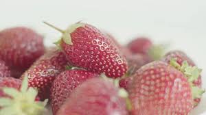 Attēlu rezultāti vaicājumam “Fragaria x ananassa fruit”