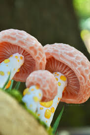 Attēlu rezultāti vaicājumam “Rhodotus palmatus”