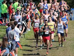 Image result for Wrentham Football Club