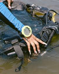 Image result for Jersey Sub Aqua Club