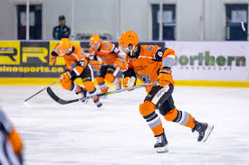 Image result for Telford Tigers